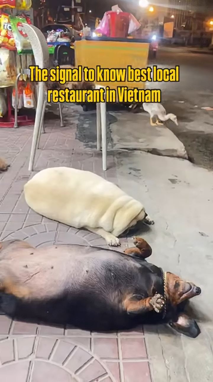 Ako spoznájte kvalitnú reštauráciu vo Vietname?